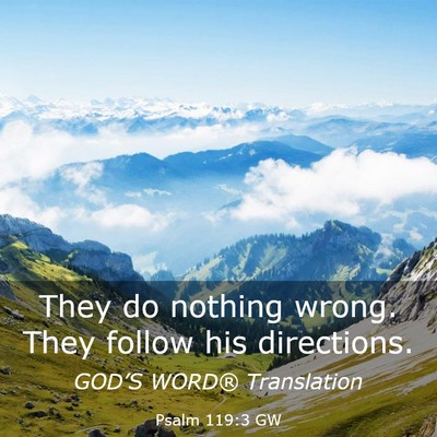 Picture 03 - Psalm 119:3 GW - They do nothing wrong. They follow his - Bible Verse Picture