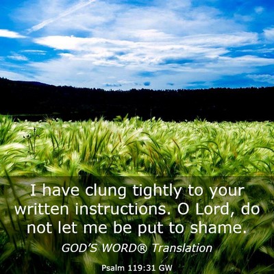 Picture 03 - Psalm 119:31 GW - I have clung tightly to your written - Bible Verse Picture