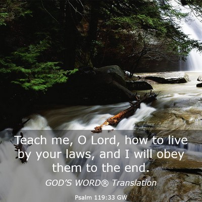 Picture 03 - Psalm 119:33 GW - Teach me, O Lord, how to live by your laws, and I - Bible Verse Picture