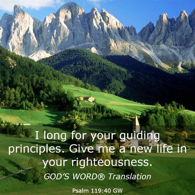 Picture 03 - Psalm 119:40 GW - I long for your guiding principles. Give me a new - Bible Verse Picture