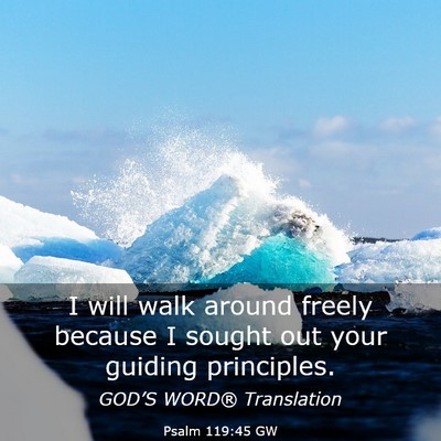 Picture 03 - Psalm 119:45 GW - I will walk around freely because I sought out - Bible Verse Picture