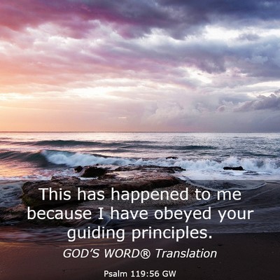 Picture 03 - Psalm 119:56 GW - This has happened to me because I have obeyed - Bible Verse Picture