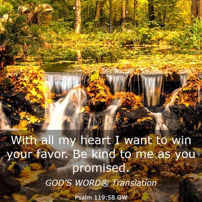 Picture 03 - Psalm 119:58 GW - With all my heart I want to win your favor. Be - Bible Verse Picture