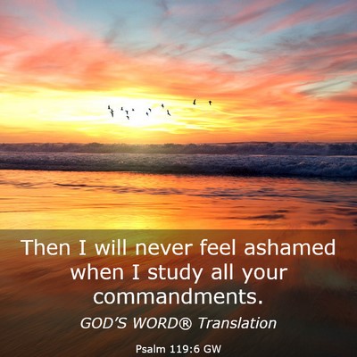 Picture 03 - Psalm 119:6 GW - Then I will never feel ashamed when I study all - Bible Verse Picture