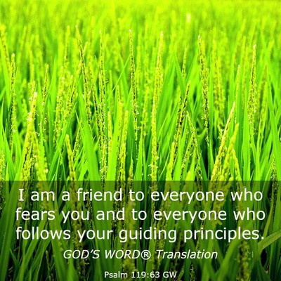 Picture 03 - Psalm 119:63 GW - I am a friend to everyone who fears you and to - Bible Verse Picture