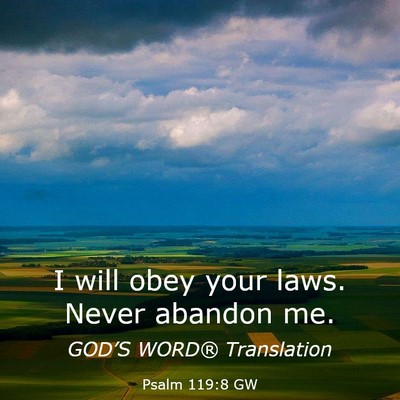 Picture 03 - Psalm 119:8 GW - I will obey your laws. Never abandon - Bible Verse Picture