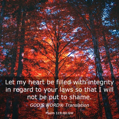 Picture 03 - Psalm 119:80 GW - Let my heart be filled with integrity in regard - Bible Verse Picture