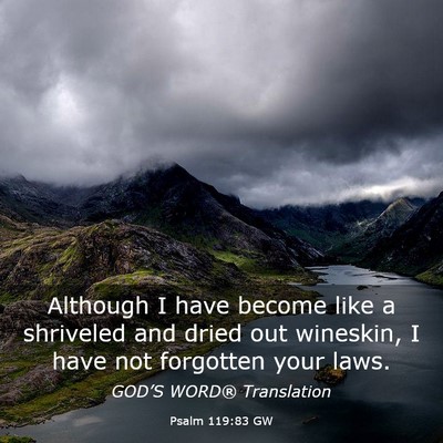 Picture 03 - Psalm 119:83 GW - Although I have become like a shriveled and dried - Bible Verse Picture