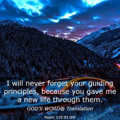 Picture 03 - Psalm 119:93 GW - I will never forget your guiding principles, - Bible Verse Picture