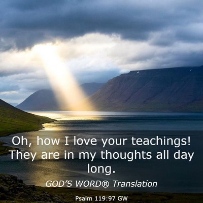 Picture 03 - Psalm 119:97 GW - Oh, how I love your teachings! They are in my - Bible Verse Picture