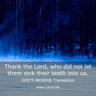 Picture 03 - Psalm 124:6 GW - Thank the Lord, who did not let them sink their - Bible Verse Picture