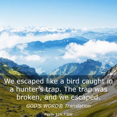Picture 03 - Psalm 124:7 GW - We escaped like a bird caught in a hunter’s - Bible Verse Picture