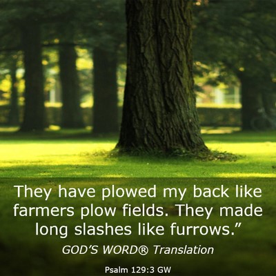 Picture 03 - Psalm 129:3 GW - They have plowed my back like farmers plow - Bible Verse Picture