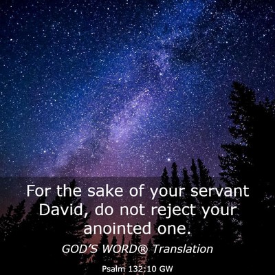 Picture 03 - Psalm 132:10 GW - For the sake of your servant David, do not reject - Bible Verse Picture