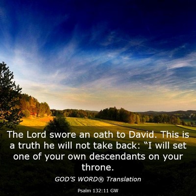 Picture 03 - Psalm 132:11 GW - The Lord swore an oath to David. This is a truth - Bible Verse Picture
