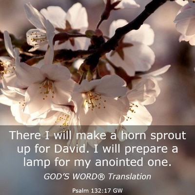 Picture 03 - Psalm 132:17 GW - There I will make a horn sprout up for David. I - Bible Verse Picture