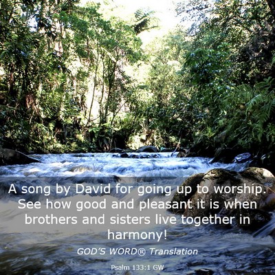 Picture 03 - Psalm 133:1 GW - A song by David for going up to worship. See how - Bible Verse Picture