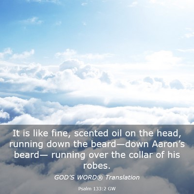 Picture 03 - Psalm 133:2 GW - It is like fine, scented oil on the head, running - Bible Verse Picture