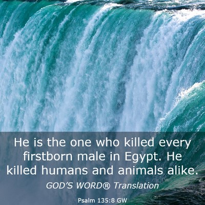 Picture 03 - Psalm 135:8 GW - He is the one who killed every firstborn male in - Bible Verse Picture