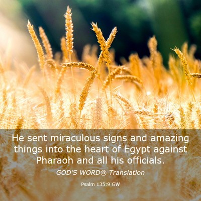 Picture 03 - Psalm 135:9 GW - He sent miraculous signs and amazing things into - Bible Verse Picture