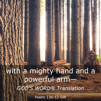 Picture 03 - Psalm 136:12 GW - with a mighty hand and a powerful - Bible Verse Picture