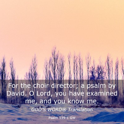 Picture 03 - Psalm 139:1 GW - For the choir director; a psalm by David. O Lord, - Bible Verse Picture