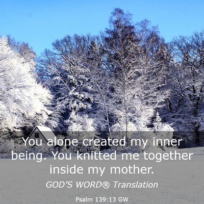 Picture 03 - Psalm 139:13 GW - You alone created my inner being. You knitted me - Bible Verse Picture