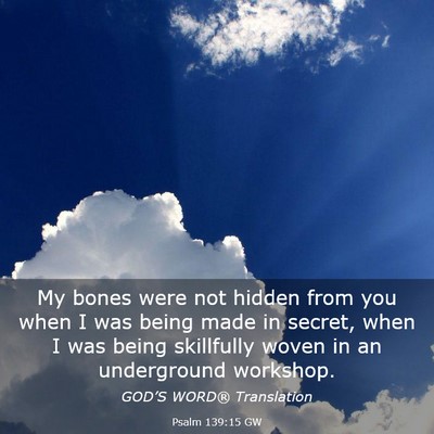 Picture 03 - Psalm 139:15 GW - My bones were not hidden from you when I was - Bible Verse Picture