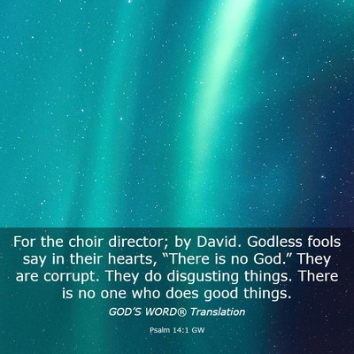 Picture 03 - Psalm 14:1 GW - For the choir director; by David. Godless fools - Bible Verse Picture