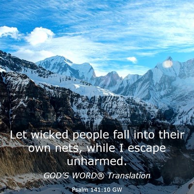 Picture 03 - Psalm 141:10 GW - Let wicked people fall into their own nets, while - Bible Verse Picture