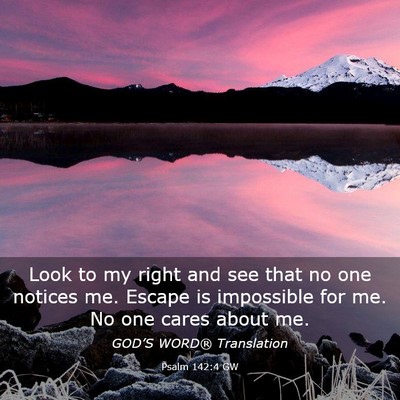 Picture 03 - Psalm 142:4 GW - Look to my right and see that no one notices me. - Bible Verse Picture