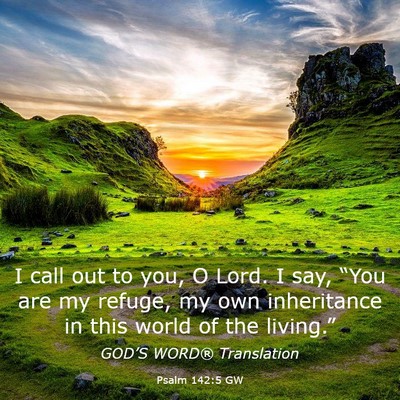 Picture 03 - Psalm 142:5 GW - I call out to you, O Lord. I say, “You are my - Bible Verse Picture