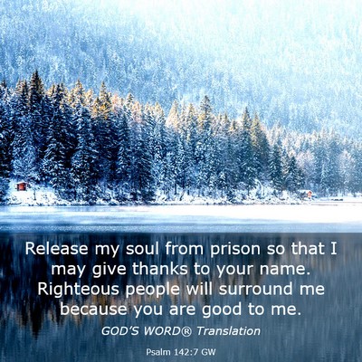 Picture 03 - Psalm 142:7 GW - Release my soul from prison so that I may give - Bible Verse Picture