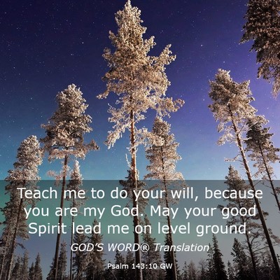 Picture 03 - Psalm 143:10 GW - Teach me to do your will, because you are my God. - Bible Verse Picture