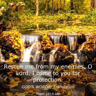 Picture 03 - Psalm 143:9 GW - Rescue me from my enemies, O Lord. I come to you - Bible Verse Picture