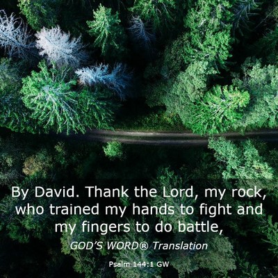 Picture 03 - Psalm 144:1 GW - By David. Thank the Lord, my rock, who trained my - Bible Verse Picture