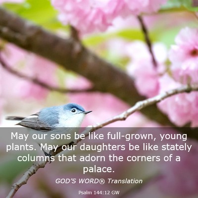 Picture 03 - Psalm 144:12 GW - May our sons be like full-grown, young plants. - Bible Verse Picture