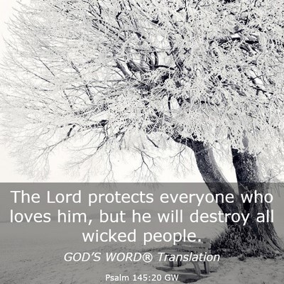 Picture 03 - Psalm 145:20 GW - The Lord protects everyone who loves him, but he - Bible Verse Picture