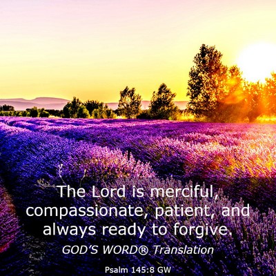 Picture 03 - Psalm 145:8 GW - The Lord is merciful, compassionate, patient, and - Bible Verse Picture