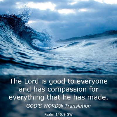 Picture 03 - Psalm 145:9 GW - The Lord is good to everyone and has compassion - Bible Verse Picture