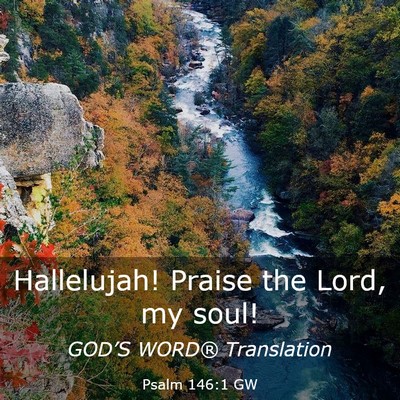 Picture 03 - Psalm 146:1 GW - Hallelujah! Praise the Lord, my - Bible Verse Picture