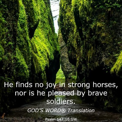 Picture 03 - Psalm 147:10 GW - He finds no joy in strong horses, nor is he - Bible Verse Picture