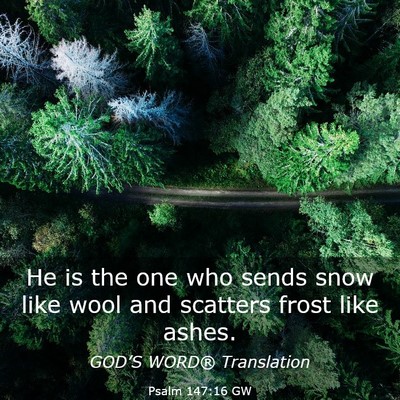 Picture 03 - Psalm 147:16 GW - He is the one who sends snow like wool and - Bible Verse Picture