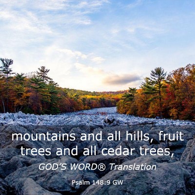 Picture 03 - Psalm 148:9 GW - mountains and all hills, fruit trees and all - Bible Verse Picture