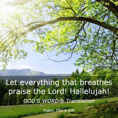 Picture 03 - Psalm 150:6 GW - Let everything that breathes praise the Lord! - Bible Verse Picture