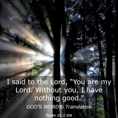 Picture 03 - Psalm 16:2 GW - I said to the Lord, “You are my Lord. Without - Bible Verse Picture