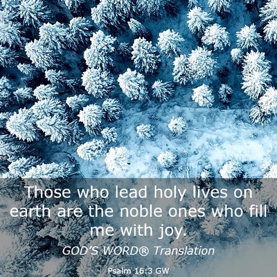Picture 03 - Psalm 16:3 GW - Those who lead holy lives on earth are the noble - Bible Verse Picture