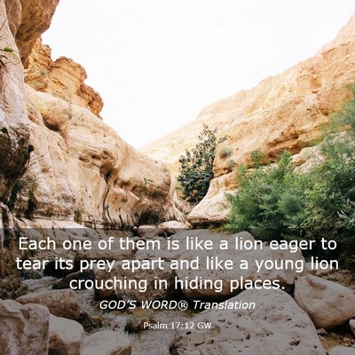 Picture 03 - Psalm 17:12 GW - Each one of them is like a lion eager to tear its - Bible Verse Picture