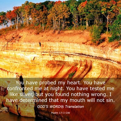 Picture 03 - Psalm 17:3 GW - You have probed my heart. You have confronted me - Bible Verse Picture
