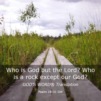 Picture 03 - Psalm 18:31 GW - Who is God but the Lord? Who is a rock except our - Bible Verse Picture